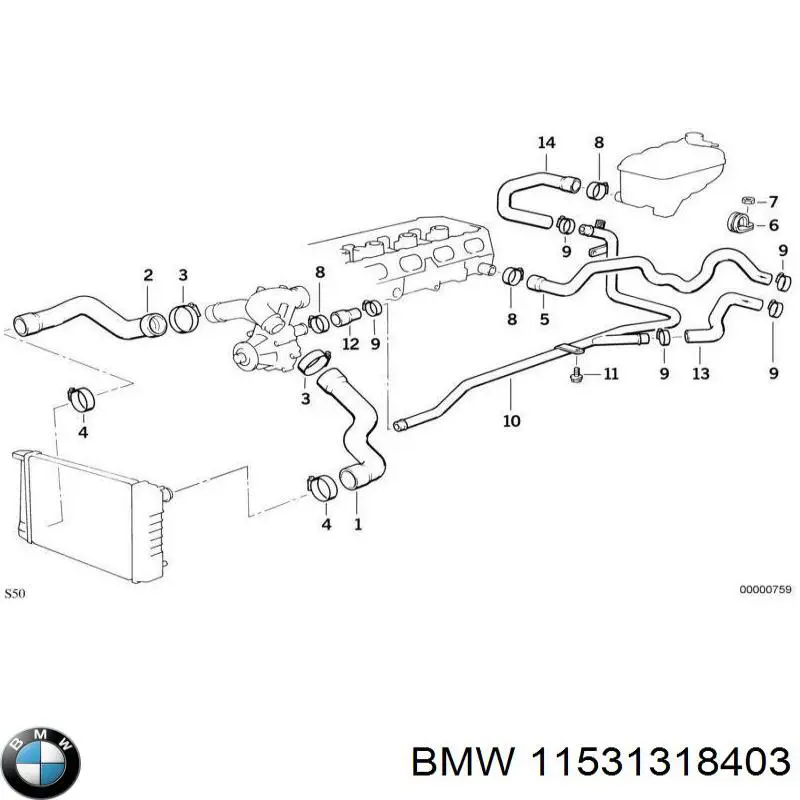 11531318403 BMW 