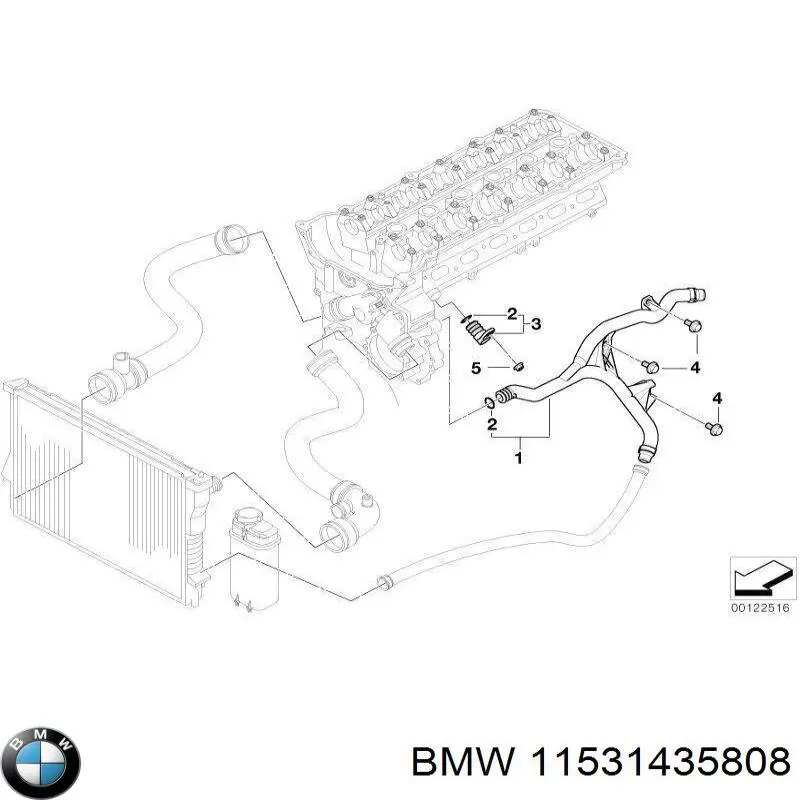 11531435808 BMW Прокладка кришки горловини, маслозаливної