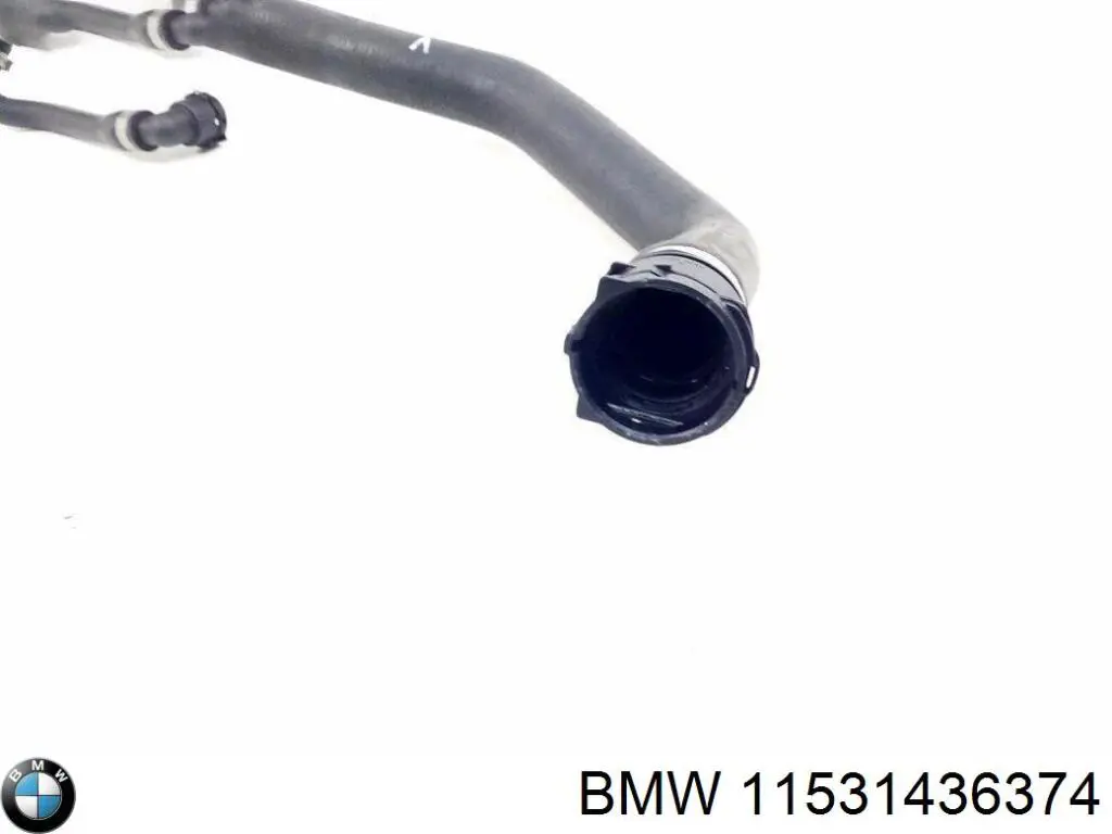 Купити 11531436374 BMW 
