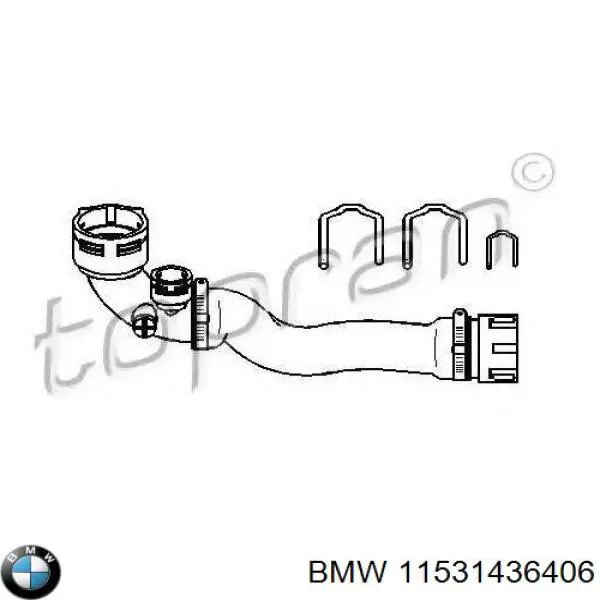 Купити 11531436406 BMW Шланг/патрубок радіатора охолодження, верхній