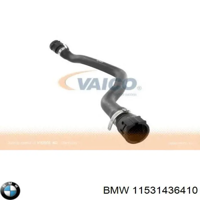 11531436410 BMW Шланг/патрубок радіатора охолодження, нижній