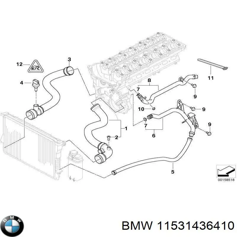 11531436410 BMW шланг/патрубок радіатора охолодження, нижній
