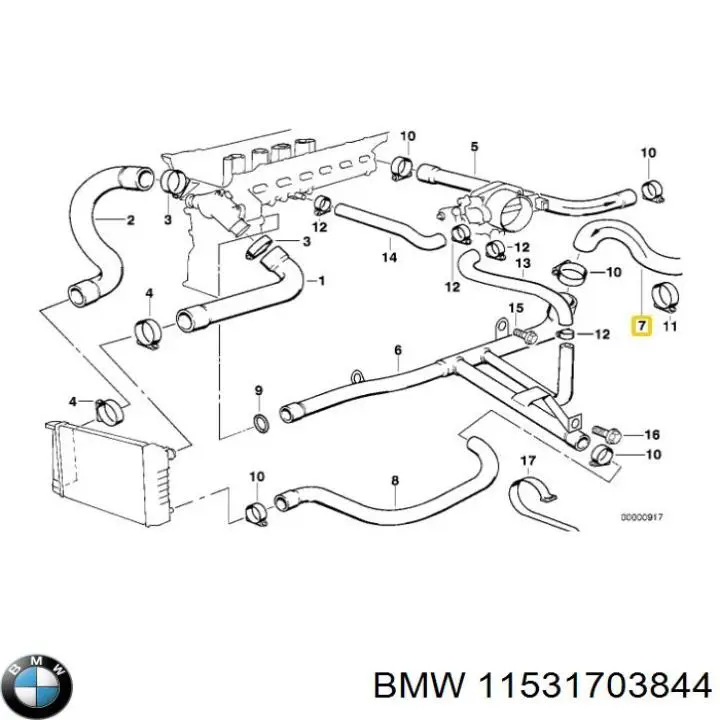 11531703844 BMW 