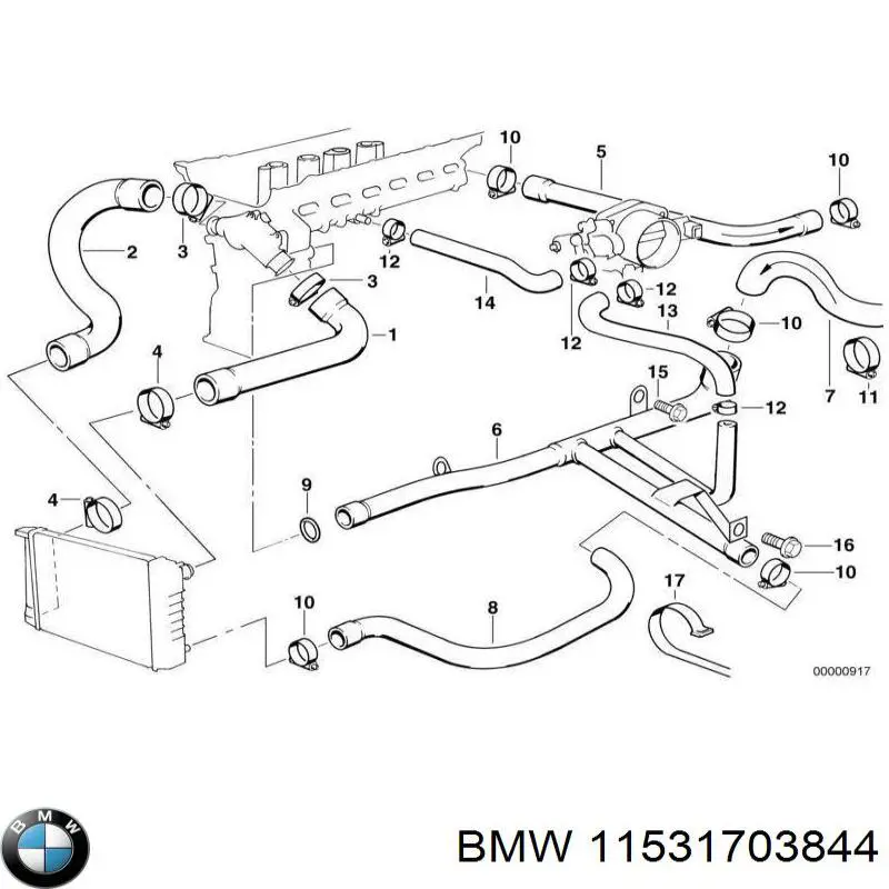  11531703844 BMW