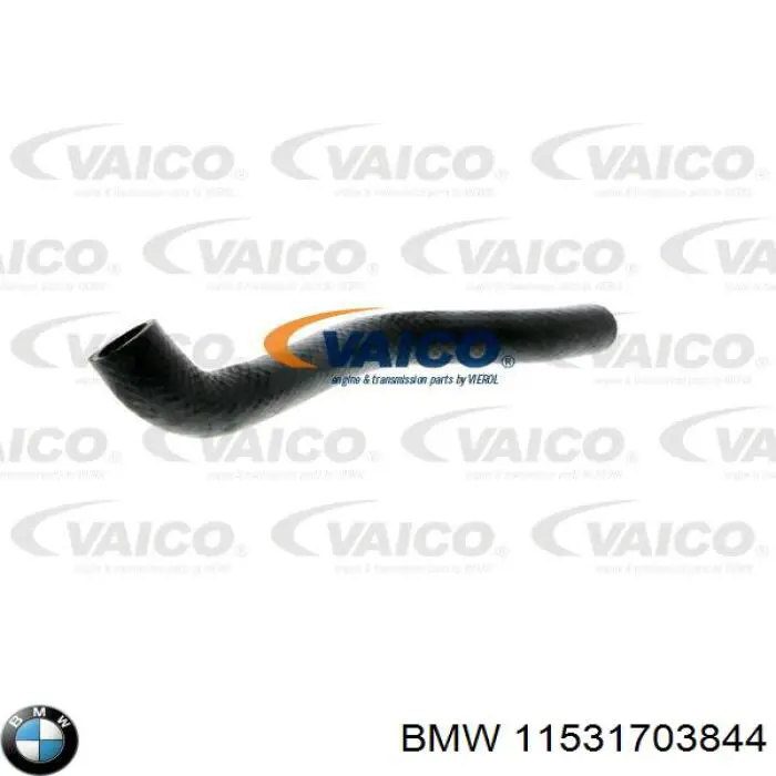  11531703844 BMW