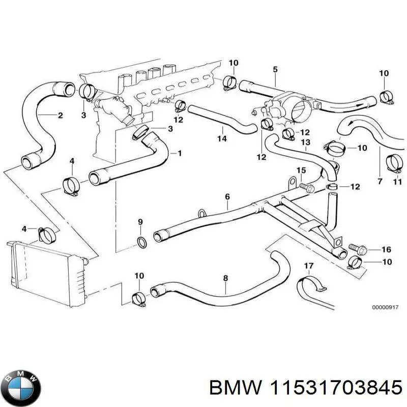 Шланг/патрубок радіатора охолодження, нижній BMW 11531703845 ціна, від 48.36 USD