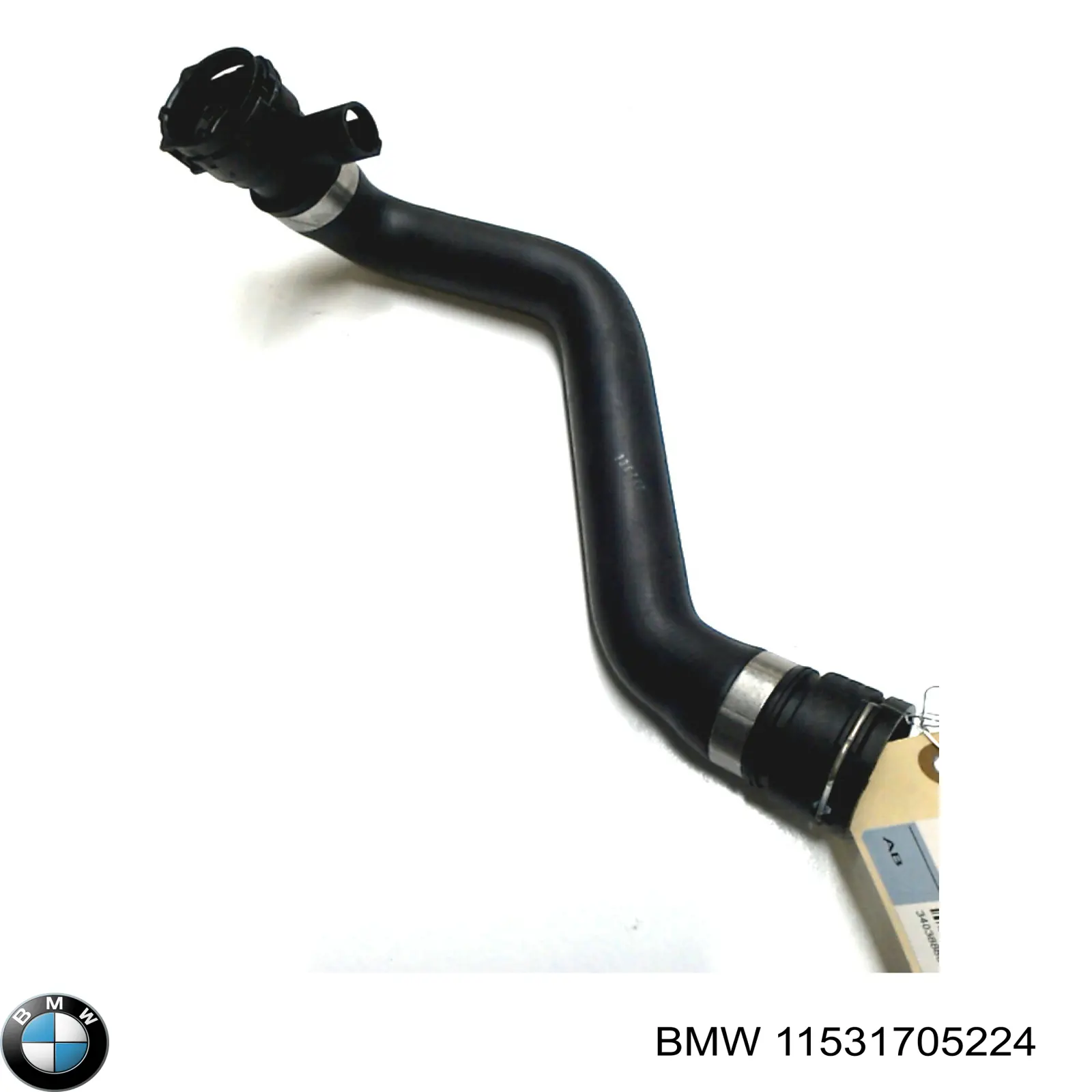 Купити 11531705224 BMW Шланг/патрубок радіатора охолодження, нижній