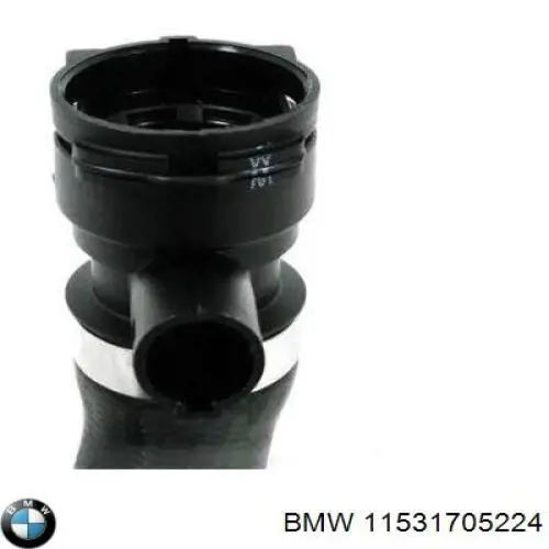 11531705224 BMW Шланг/патрубок радіатора охолодження, нижній