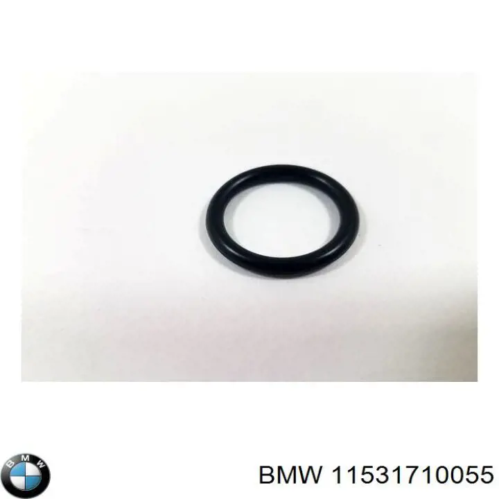 Прокладка водяної помпи 11531710055 BMW