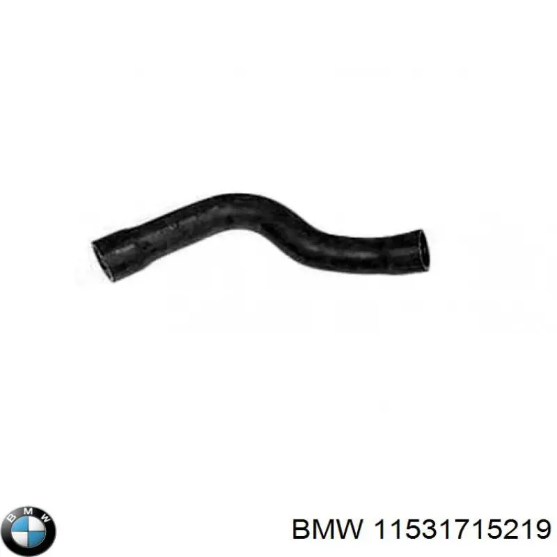 11531715219 BMW 