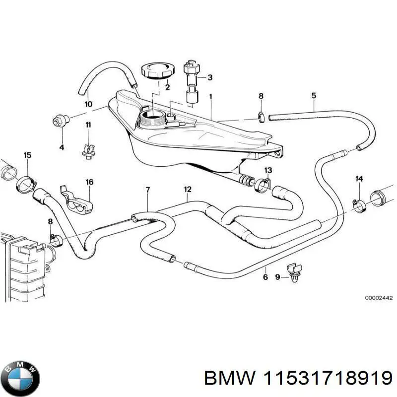 11531718919 BMW 