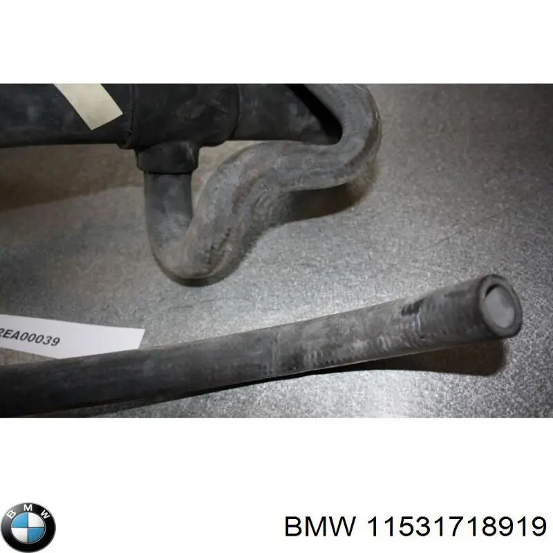  11531718919 BMW