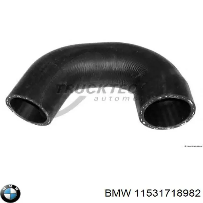  11531718982 BMW