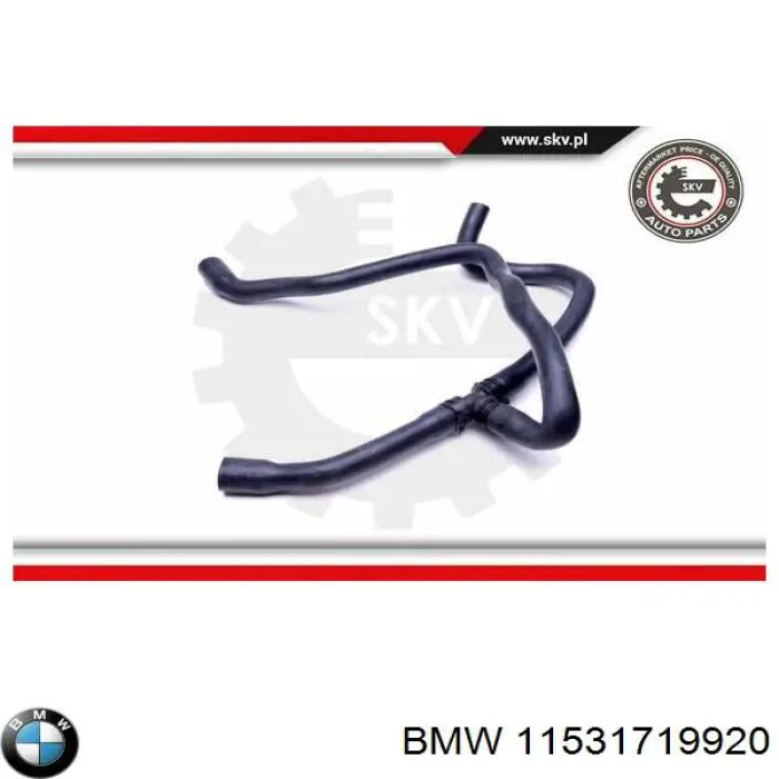 Купити 11531719920 BMW Шланг/патрубок радіатора охолодження, нижній