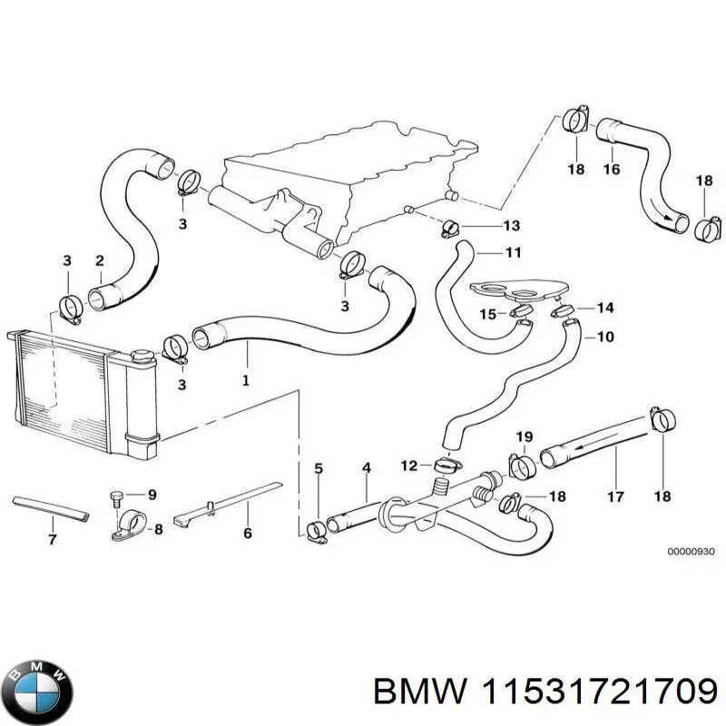 Купити 11531721709 BMW Шланг/патрубок радіатора охолодження, нижній