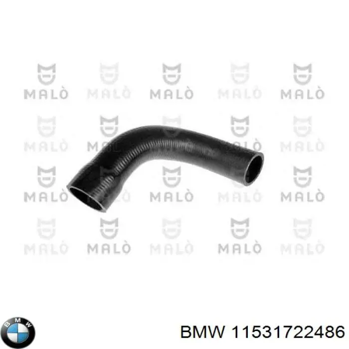 11531722486 BMW 