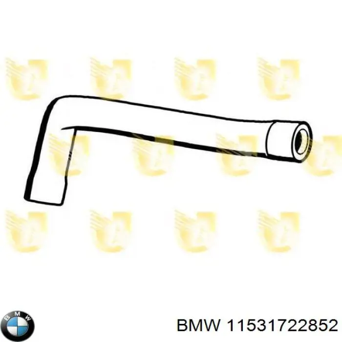 Купити 11531722852 BMW Шланг/патрубок радіатора охолодження, нижній