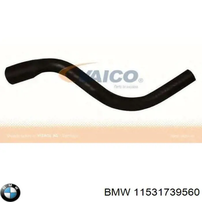 11531739560 BMW 