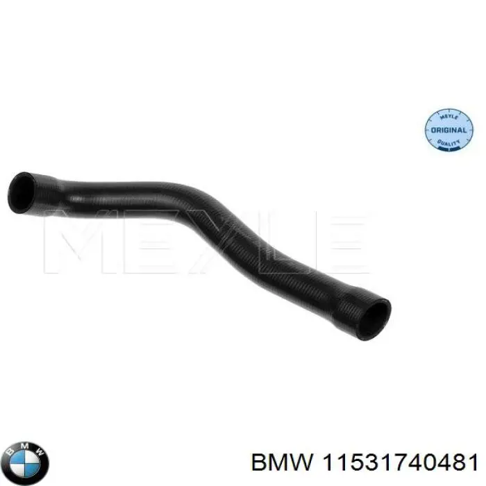 Купити 11531740481 BMW Шланг/патрубок радіатора охолодження, нижній