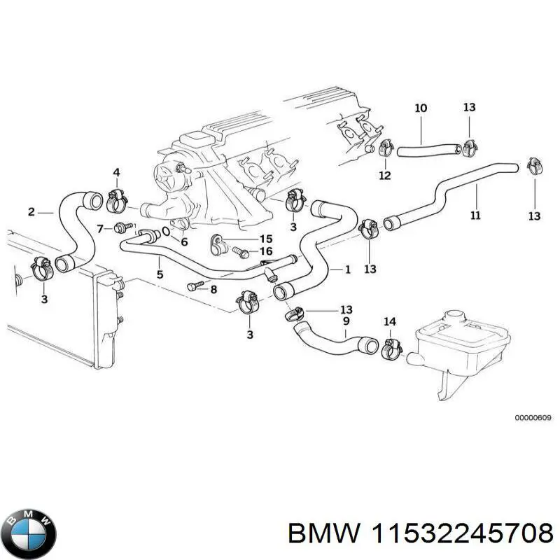 11532245708 BMW Шланг/патрубок радіатора охолодження, нижній