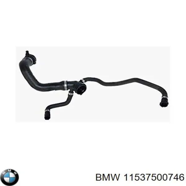 Купити 11537500746 BMW Шланг/патрубок радіатора охолодження, верхній