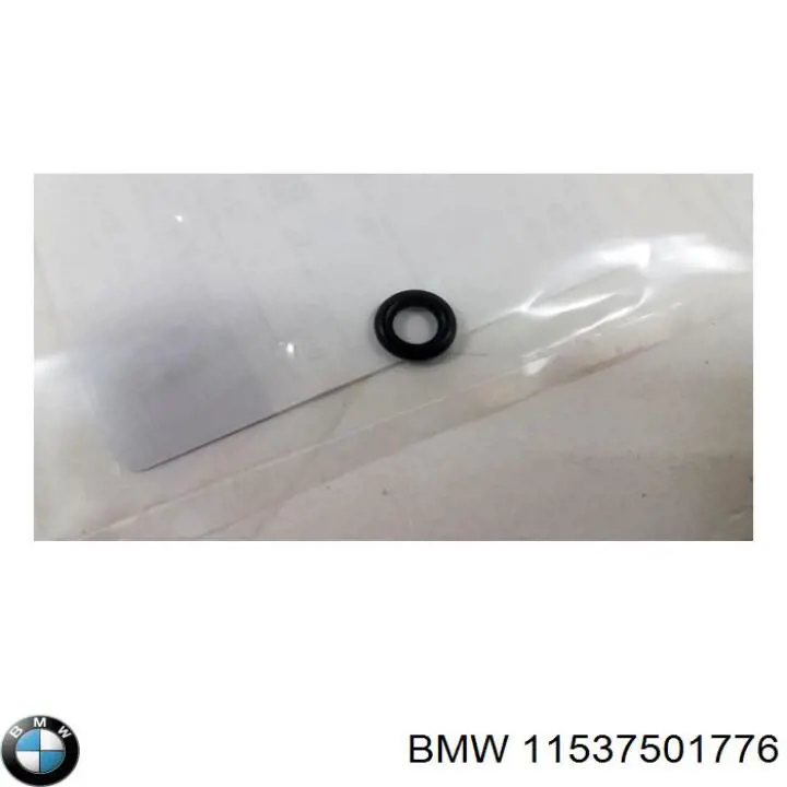  11537501776 BMW