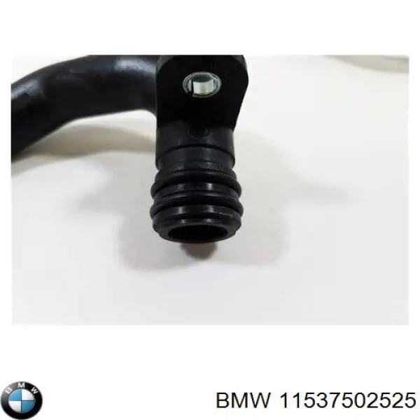 Купити 11537502525 BMW Трубопроводи і шланги системи охолодження