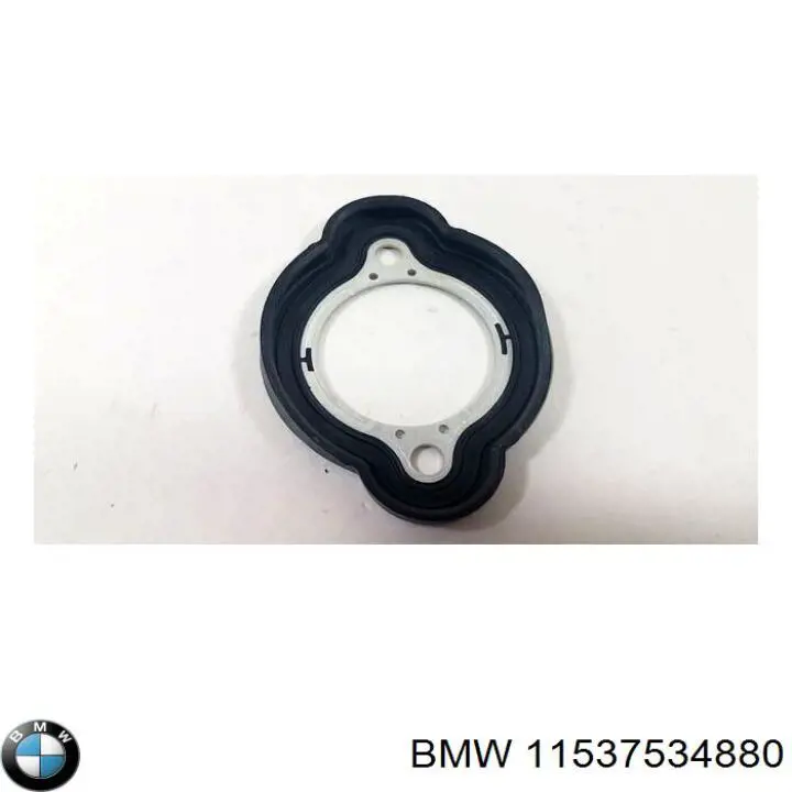Купити 11537534880 BMW Прокладка адаптера маслянного фільтра