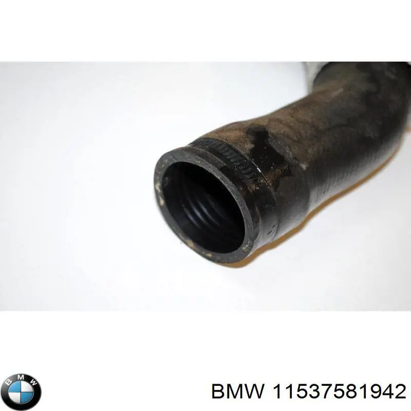 Купити 11537581942 BMW Шланг/патрубок радіатора охолодження, нижній