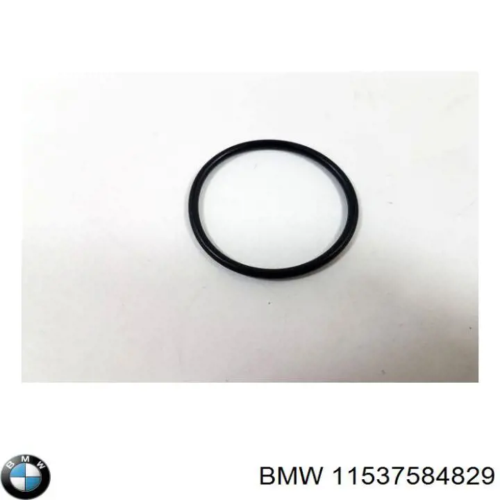 11537584829 BMW Прокладка водяної помпи