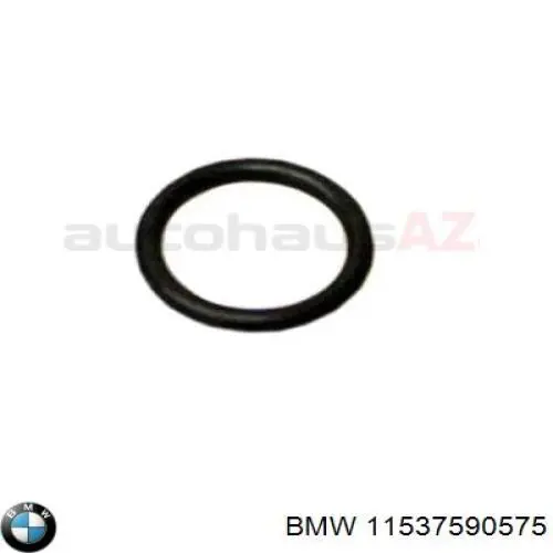 Прокладка водяної помпи 11537590575 BMW