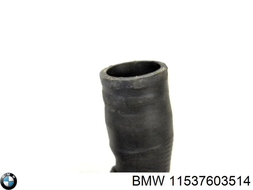 Шланг (патрубок) термостата BMW 11537603514 ціна, від 16.92 USD