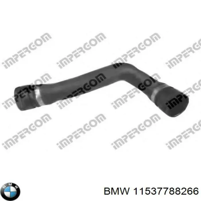  11537788266 BMW