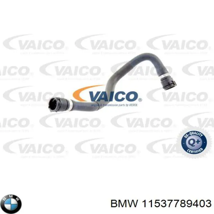 Купити 11537789403 BMW Трубопроводи і шланги системи охолодження