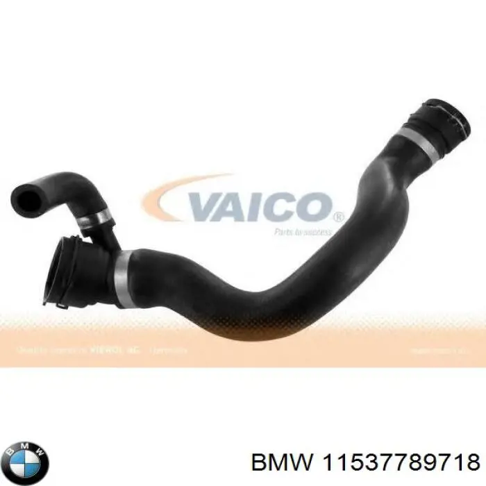 Шланг/патрубок радіатора охолодження, нижній BMW 11537789718 ціна, від 35.95 USD