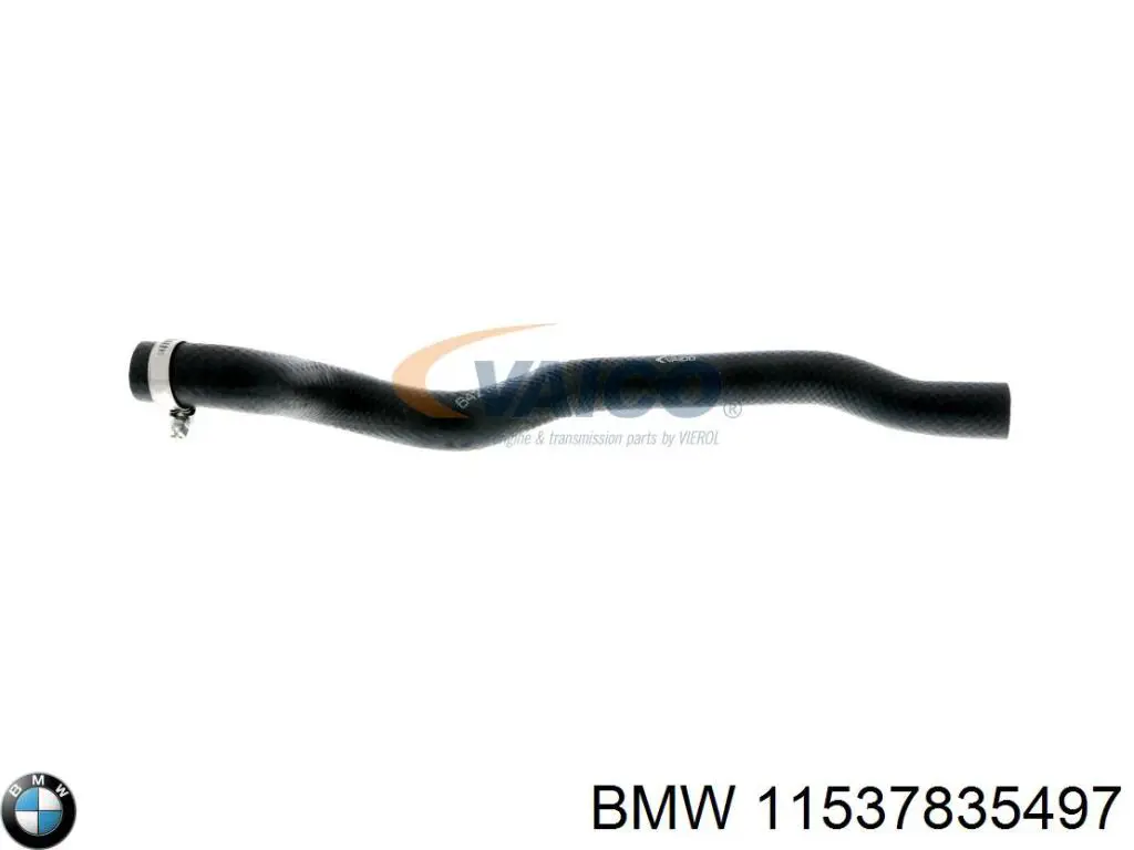 11537835497 BMW 