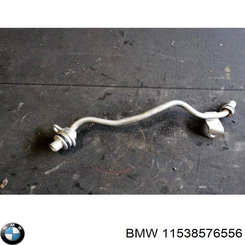 11538576556 BMW 