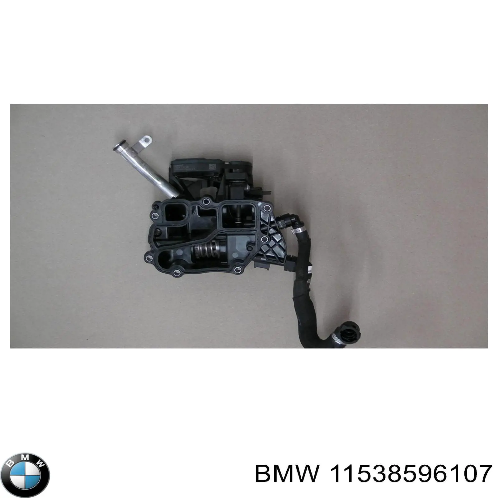 11538596107 BMW 