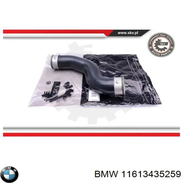 11613427761 BMW 