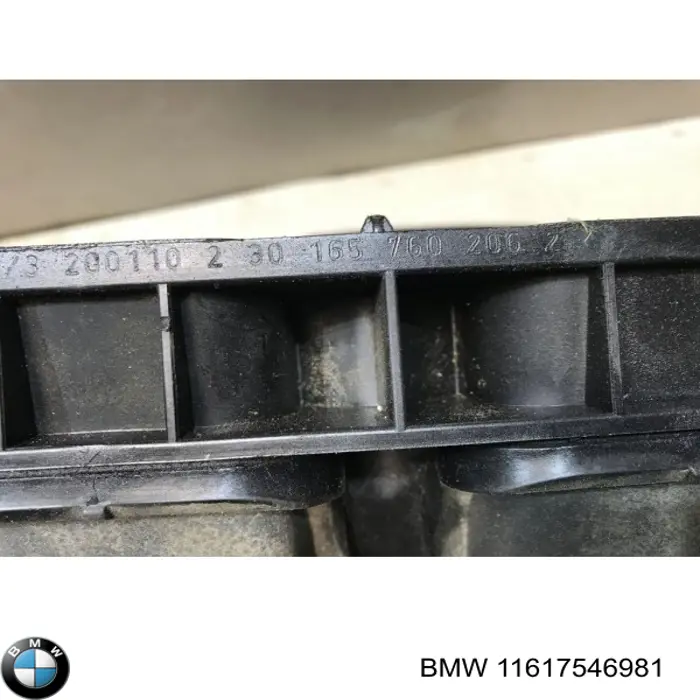 Впускний колектор 11617546981 BMW