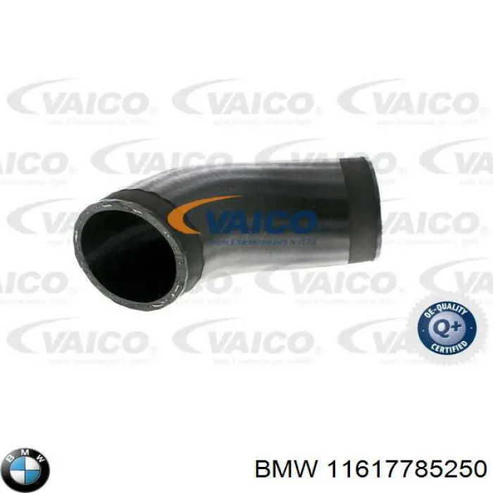 11617785250 BMW 