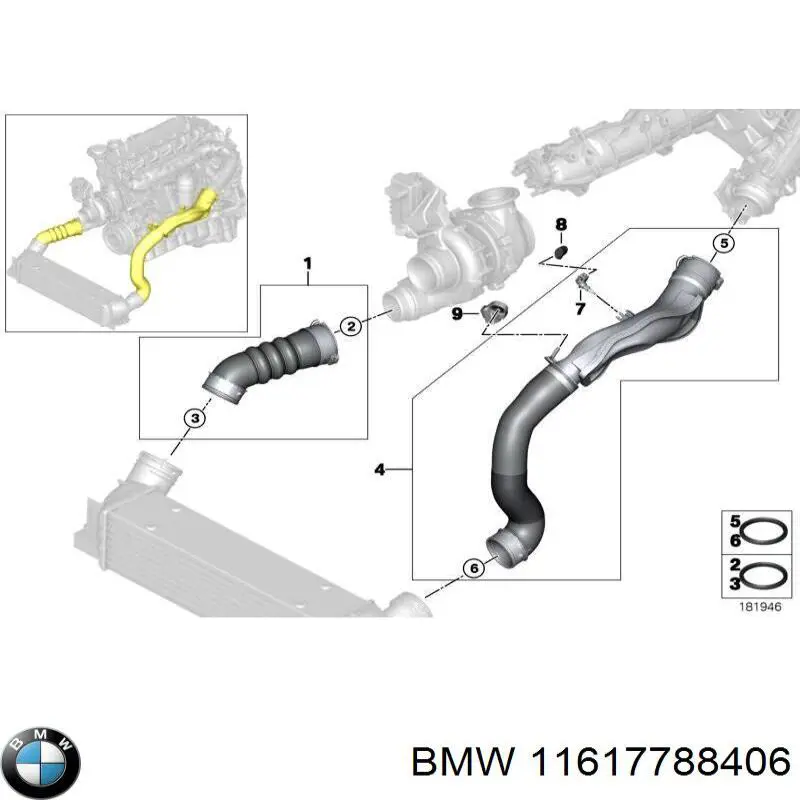 11617788406 BMW 