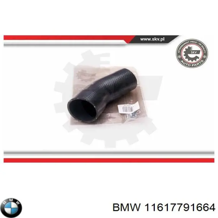 Трубка, що нагнітається BMW 11617791664 ціна, від 38.07 USD