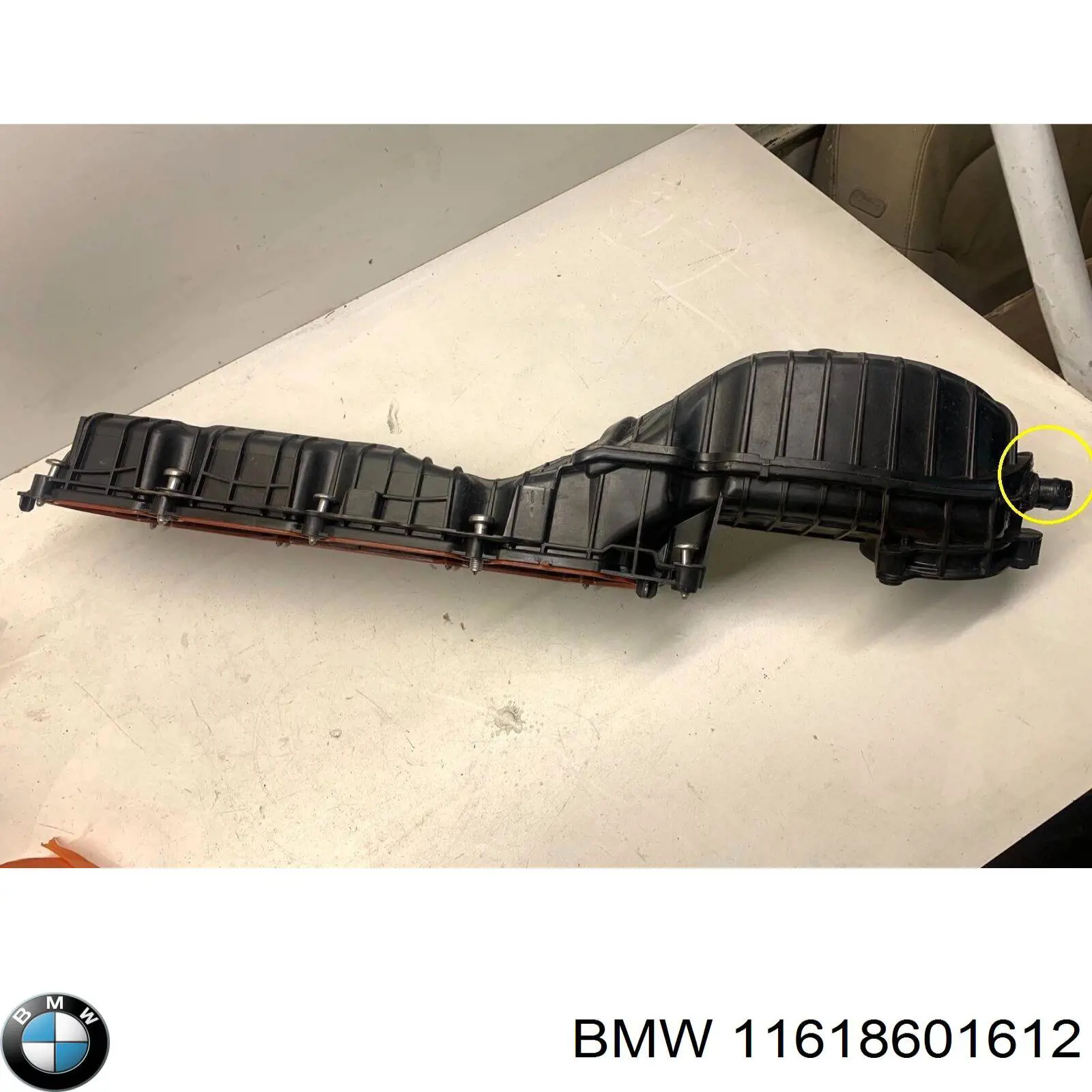 11618601612 BMW 