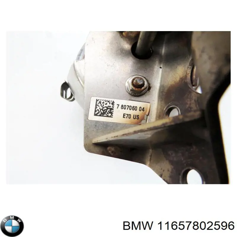 11657802596 BMW 