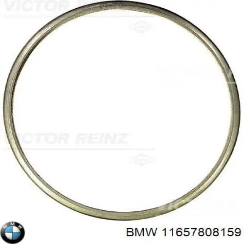 Купити 11657808159 BMW Прокладка турбіни вихлопних газів, впуск