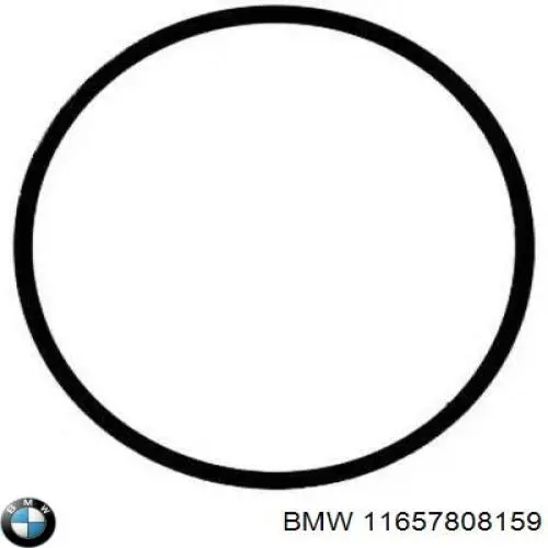 Прокладка турбіни вихлопних газів, впуск BMW 11657808159 ціна, від 13.13 USD