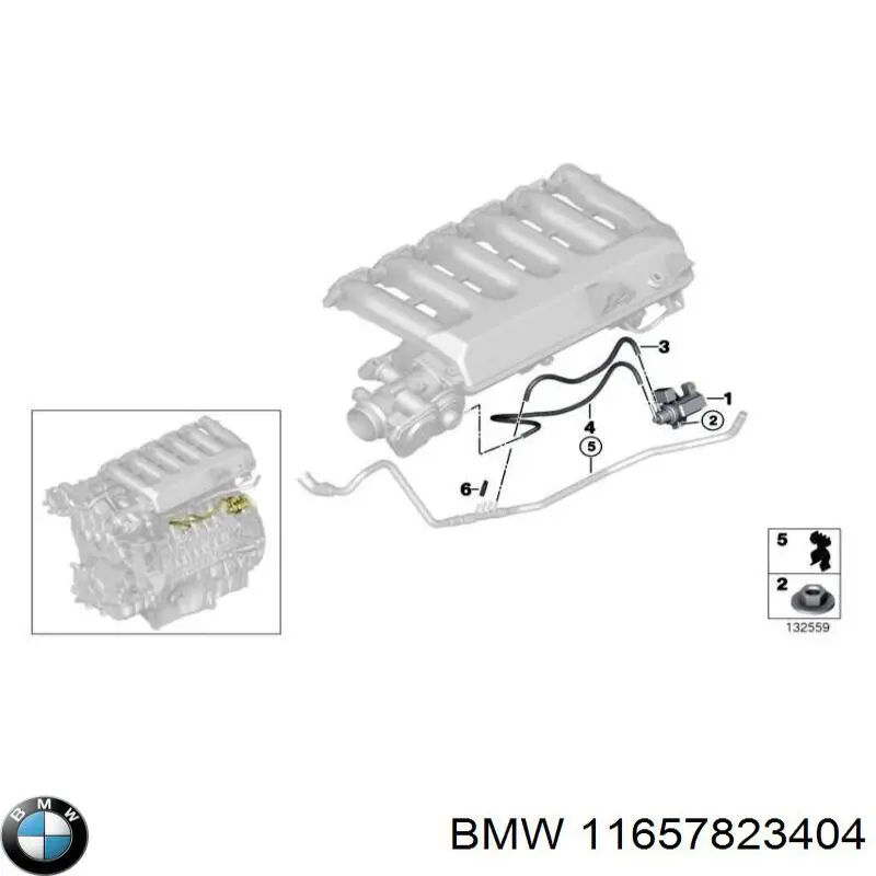 11657823404 BMW 