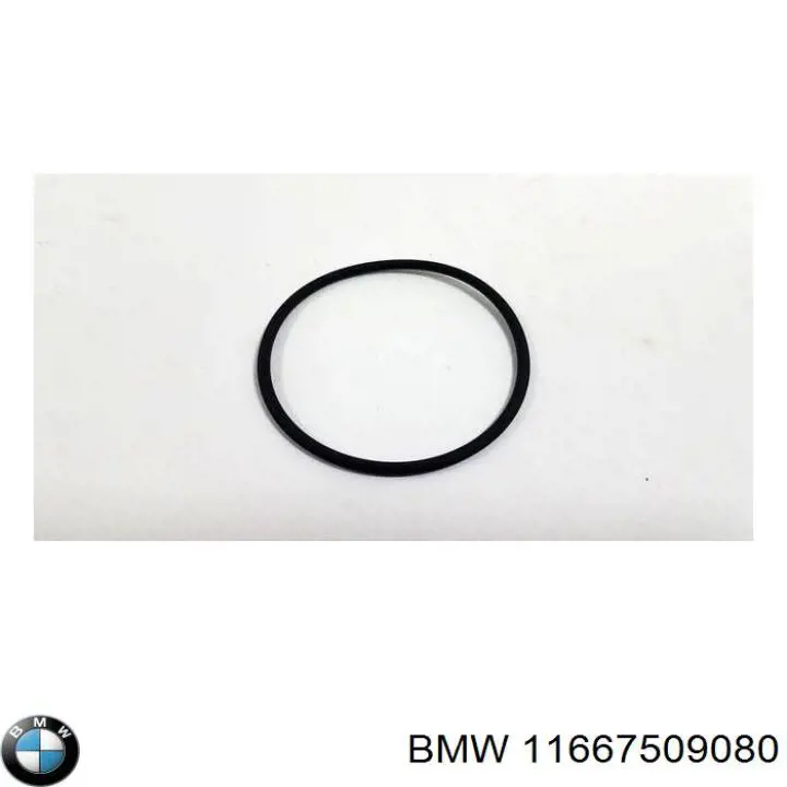 Прокладка вакуумного насосу BMW 11667509080