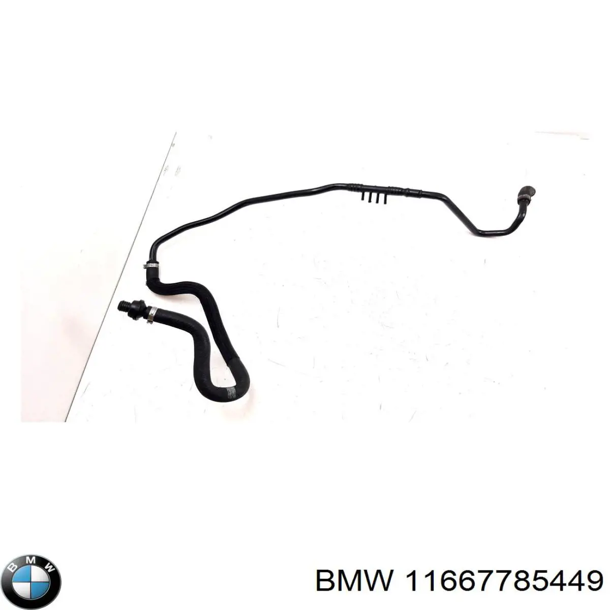  11667785449 BMW